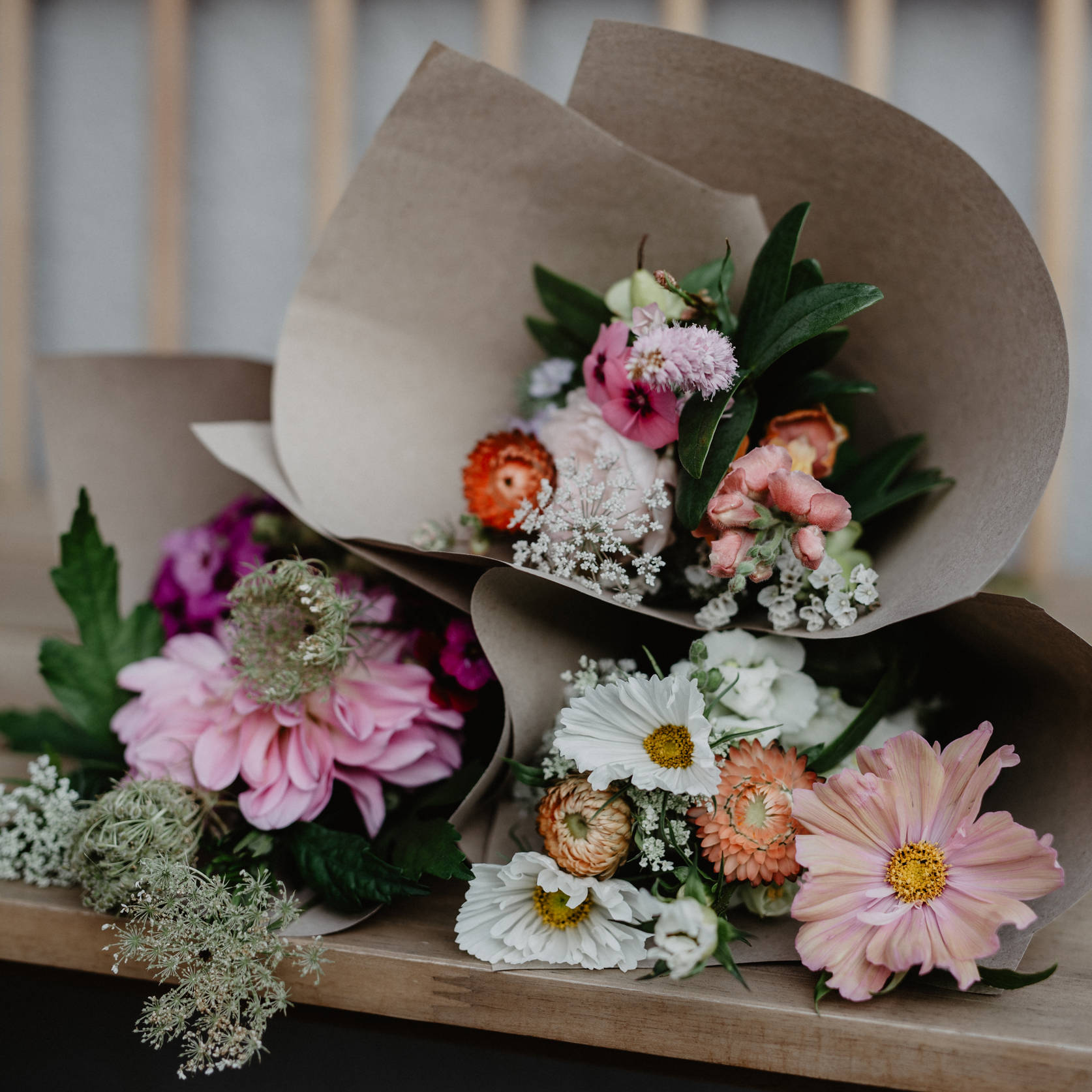 strauße liegend homepage.jpg